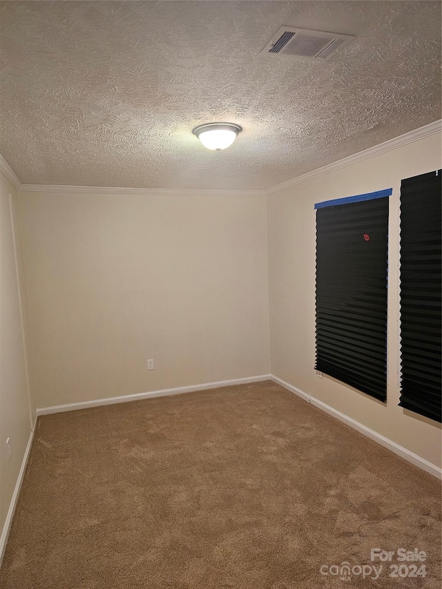 carpeted spare room with a textured ceiling and ornamental molding