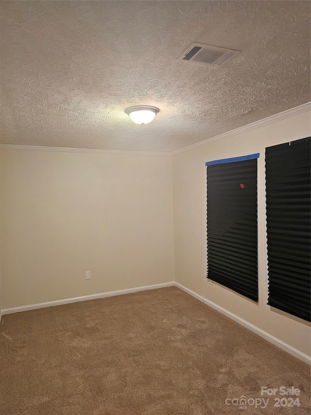 unfurnished room with carpet flooring, crown molding, and a textured ceiling