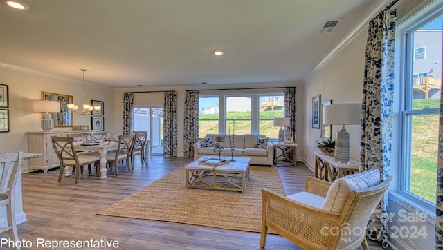 living room with ornamental molding, an inviting chandelier, light hardwood / wood-style flooring, and plenty of natural light