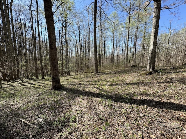 Listing photo 3 for TBD Katie Ln Unit 33, Bakersville NC 28705