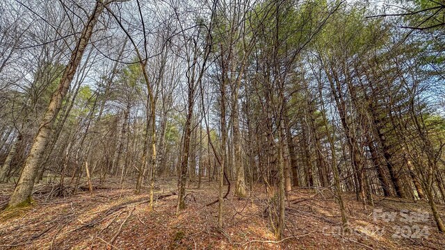 TBD Crestview Dr W, Creston NC, 28615 land for sale