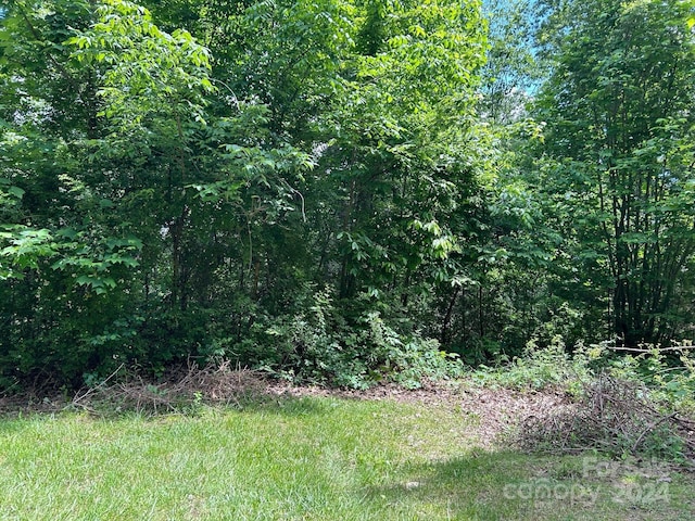 16 Waxwing Way Unit 16, Asheville, NC 28804 - photo 12