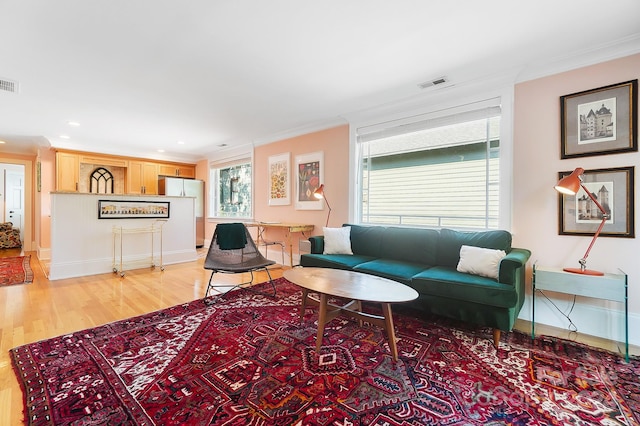 living room featuring crown molding and light wood-type flooring