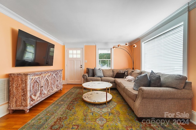 living room featuring ornamental molding and dark hardwood / wood-style flooring