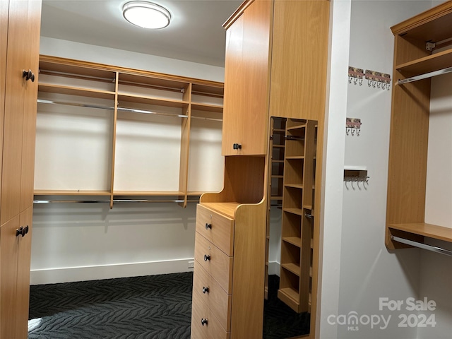 spacious closet with dark carpet