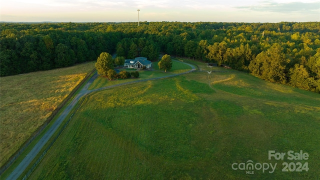 bird's eye view