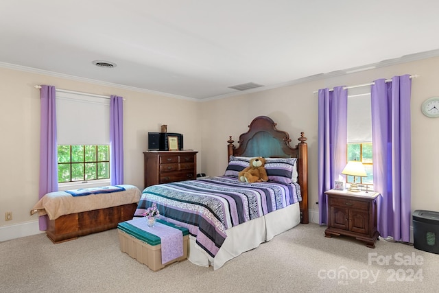 bedroom with crown molding and carpet flooring