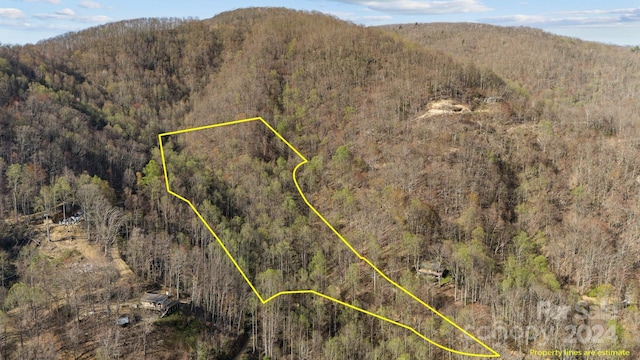 LOT33 Deer Rock Rd, Hot Springs NC, 28743 land for sale