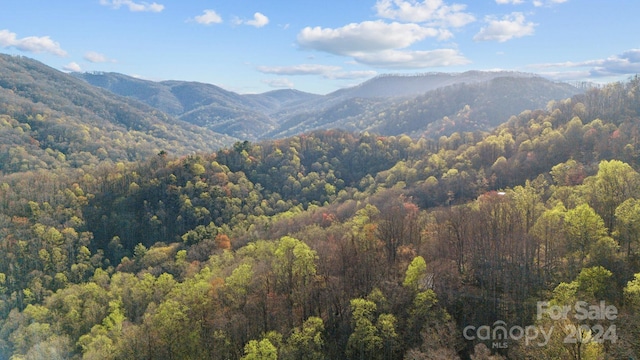 Listing photo 2 for LOT33 Deer Rock Rd, Hot Springs NC 28743