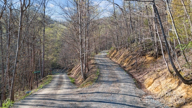 Listing photo 3 for LOT33 Deer Rock Rd, Hot Springs NC 28743