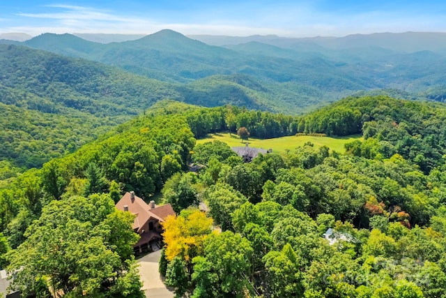 aerial view with a mountain view