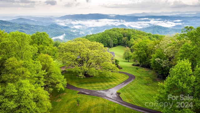 birds eye view of property featuring a mountain view