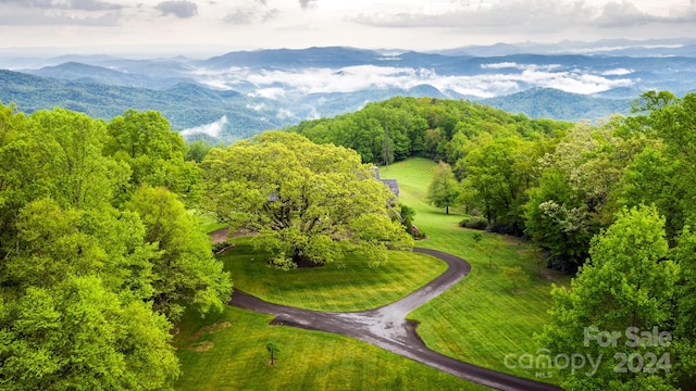 691 Dogwood Ln, Blowing Rock, NC 28605 - exterior space with a mountain view
