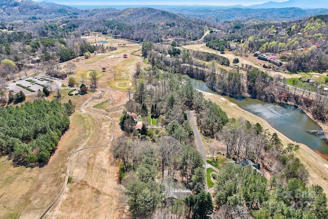 birds eye view of property with a water and mountain view and a view of trees