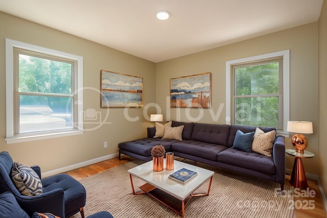 living room with hardwood / wood-style floors and a wealth of natural light