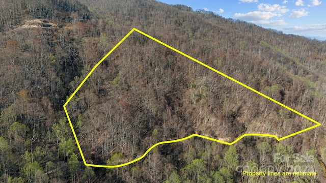 LOT25 Deer Rock Rd, Hot Springs NC, 28743 land for sale