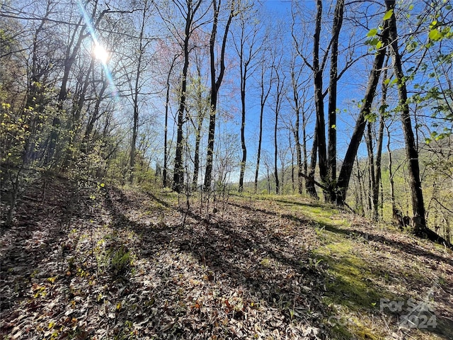 Listing photo 3 for LOT25 Deer Rock Rd, Hot Springs NC 28743