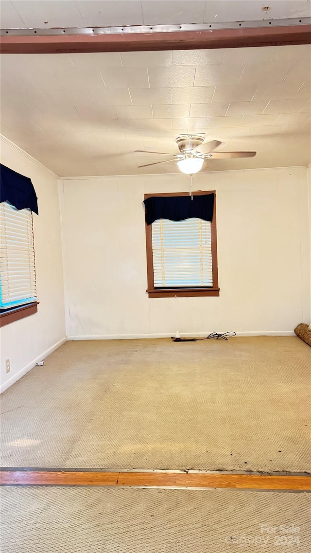 unfurnished room with carpet and ceiling fan