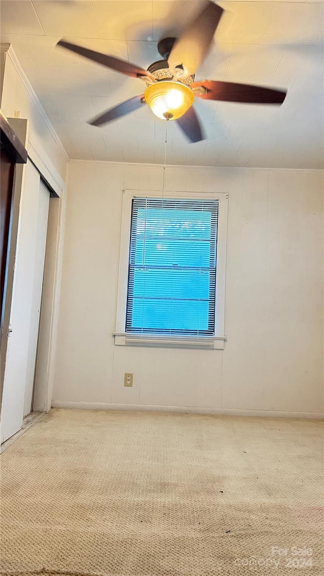 interior space with carpet floors, ceiling fan, and ornamental molding