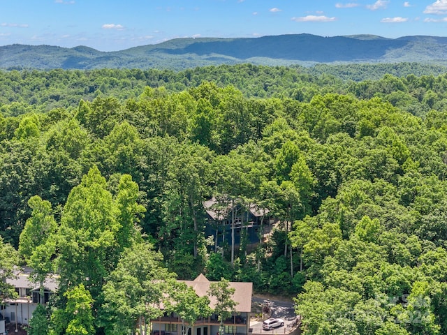 bird's eye view featuring a mountain view