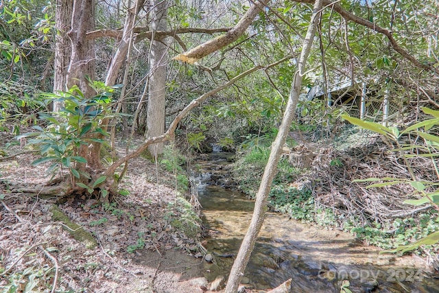 view of local wilderness featuring a water view