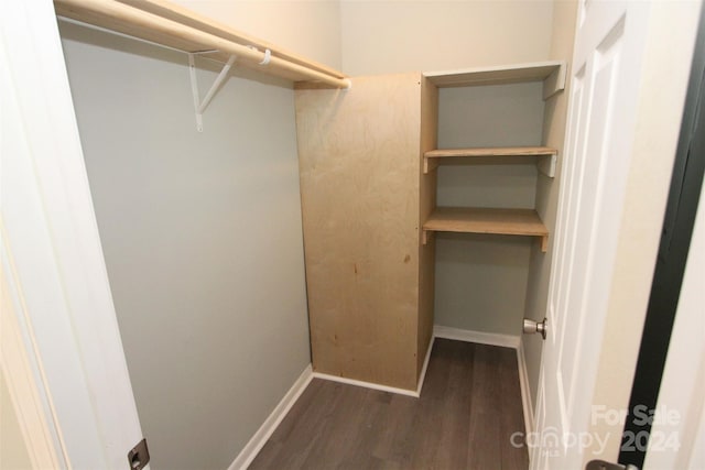 spacious closet with dark wood-type flooring