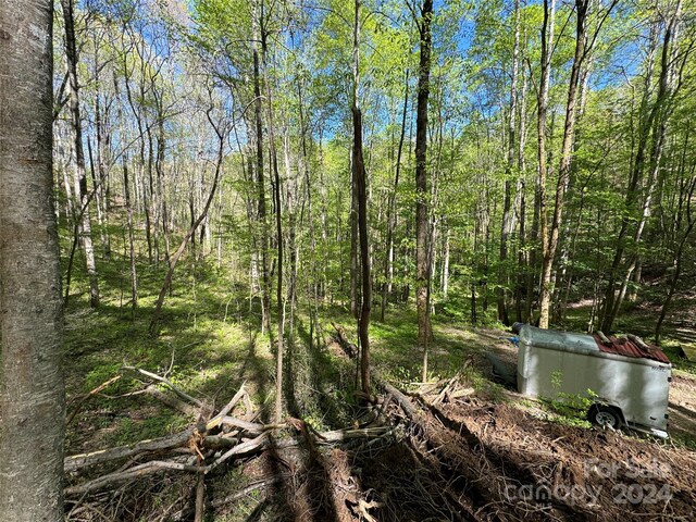 Listing photo 2 for 0 E Silvermine Rd, Bryson City NC 28713