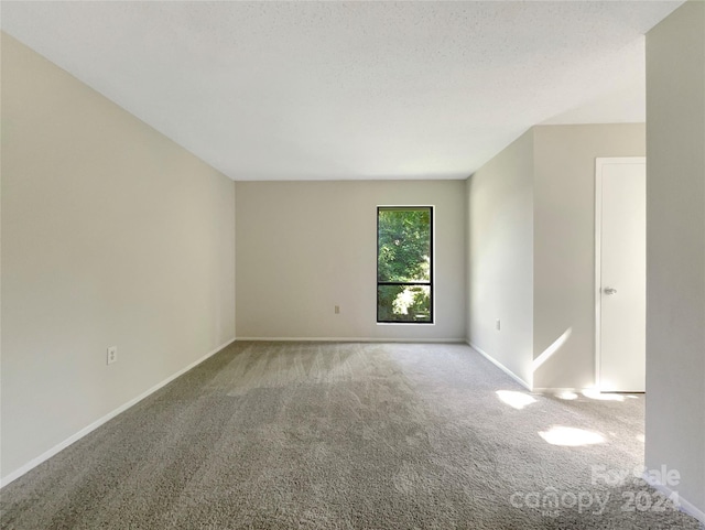 empty room with carpet and a textured ceiling