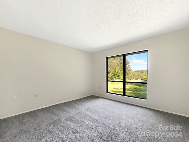 carpeted empty room with a textured ceiling