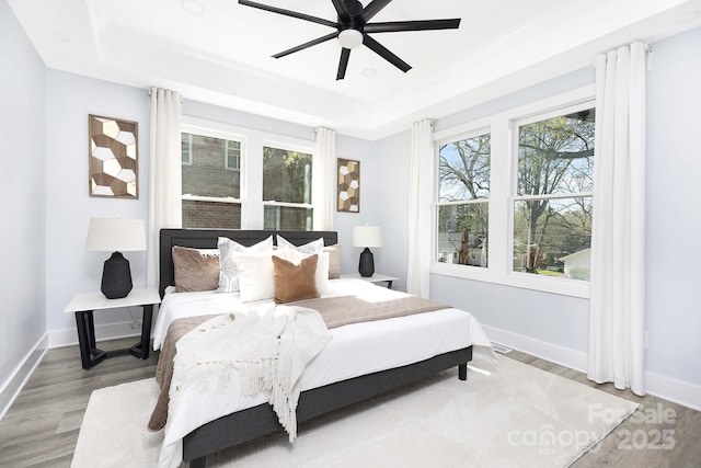 bedroom featuring a raised ceiling, multiple windows, and ceiling fan