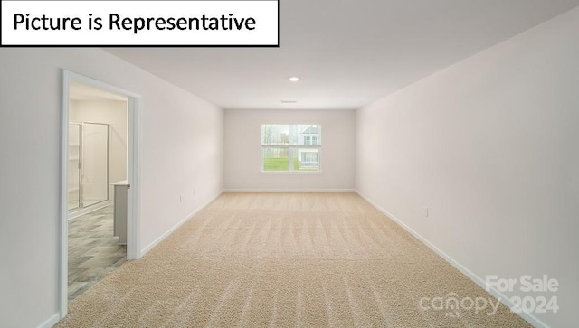 spare room featuring light carpet