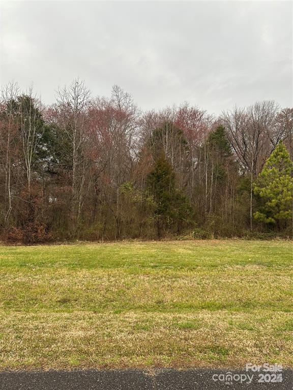 130 Belmont Pl, Rockwell, NC 28138 - photo 1