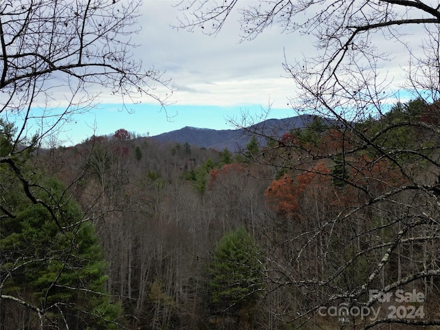 Listing photo 2 for LOT25 Dream Valley Dr, Clyde NC 28721