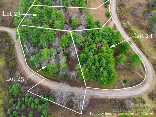 Listing photo 3 for LOT25 Dream Valley Dr, Clyde NC 28721