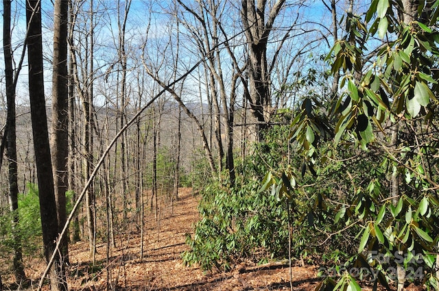 Listing photo 2 for 00 Stoneledge Rd, Hendersonville NC 28792