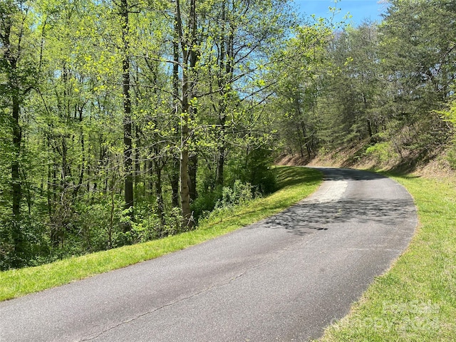 Listing photo 2 for LOT22 Eagle Ridge Cir, Whittier NC 28789