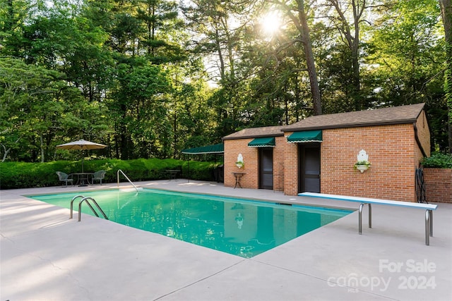 view of swimming pool with a patio area and a diving board