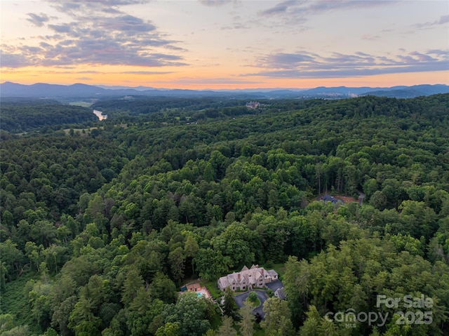 436 Vanderbilt Rd, Asheville, NC 28803 - aerial view at dusk of a view of trees and a mountain view