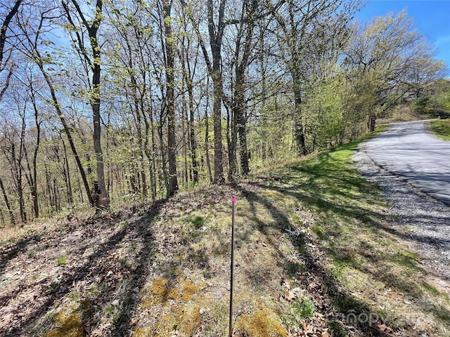 0000 Signature Row Rd, Waynesville NC, 28785 land for sale