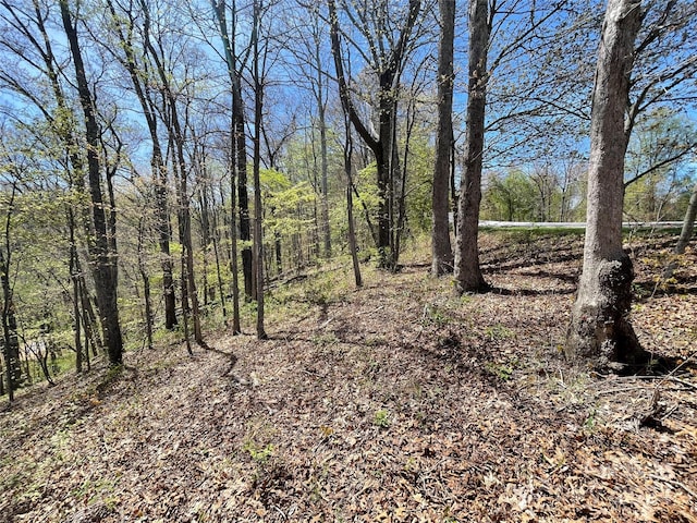 Listing photo 3 for 0000 Signature Row Rd, Waynesville NC 28785