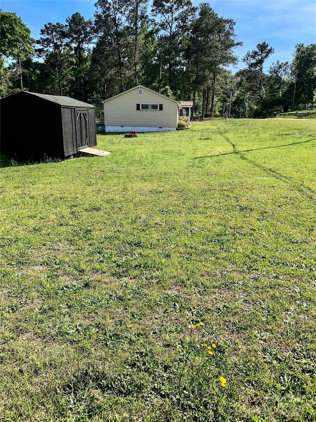 view of yard featuring a storage shed