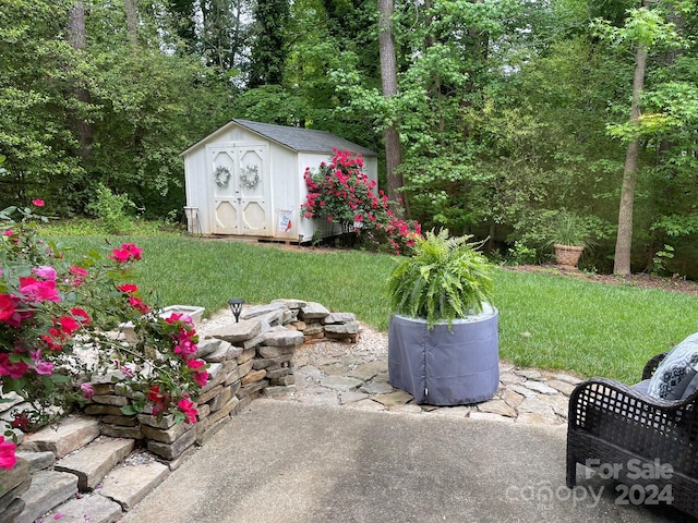 view of yard featuring a storage unit and a patio