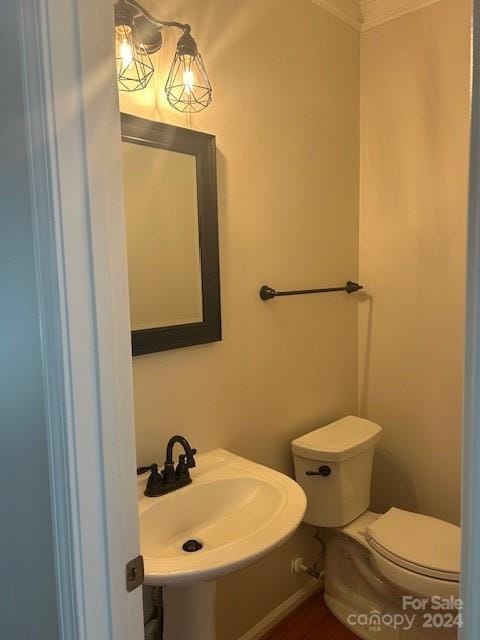 bathroom with toilet, crown molding, and sink