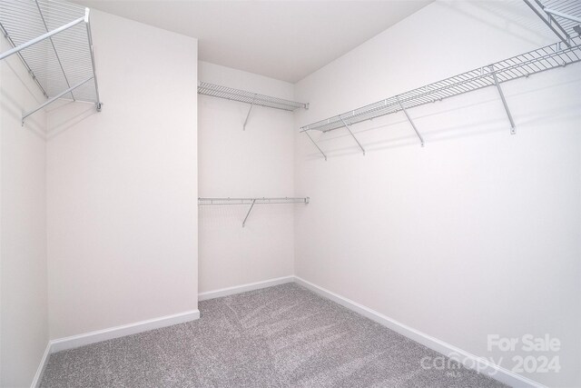 walk in closet featuring carpet flooring