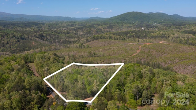 99999 Shady Bark Ln Unit 41, Rutherfordton NC, 28139 land for sale