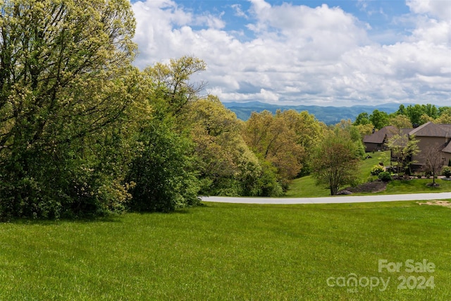 Listing photo 2 for 4642 Bearwallow Mountain Rd, Hendersonville NC 28792