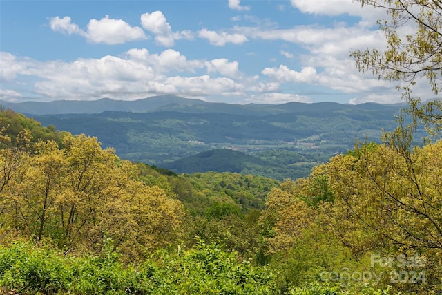 4642 Bearwallow Mountain Rd, Hendersonville NC, 28792 land for sale