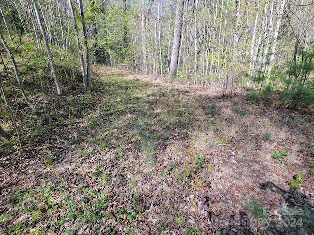 Listing photo 3 for 00 Gallant Moose Trl Unit 6, Waynesville NC 28785