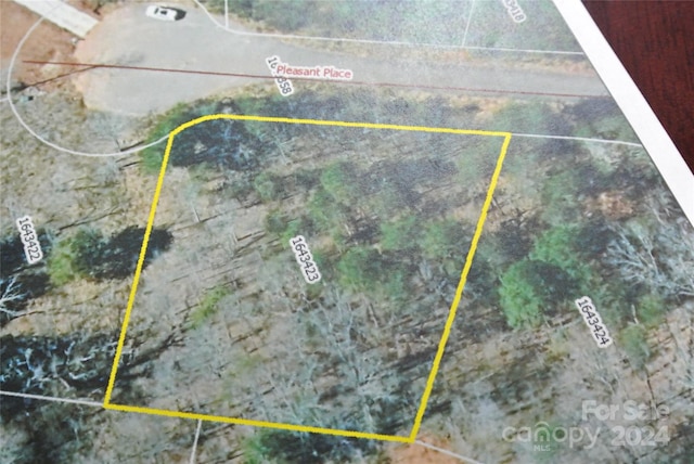 00 Pleasant Pl, Rutherfordton NC, 28139 land for sale