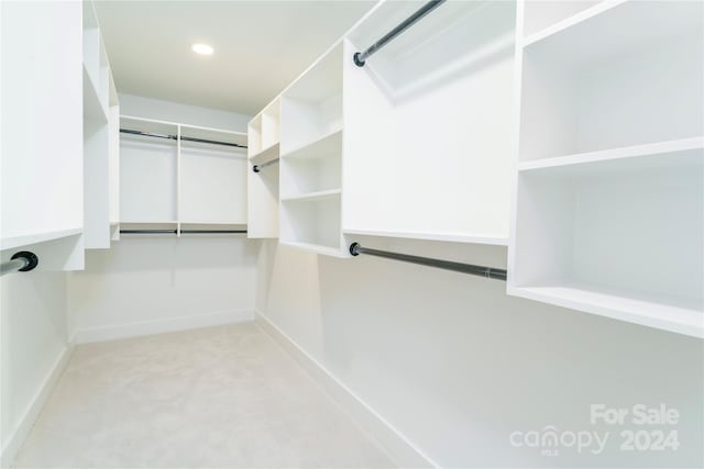 walk in closet with light colored carpet